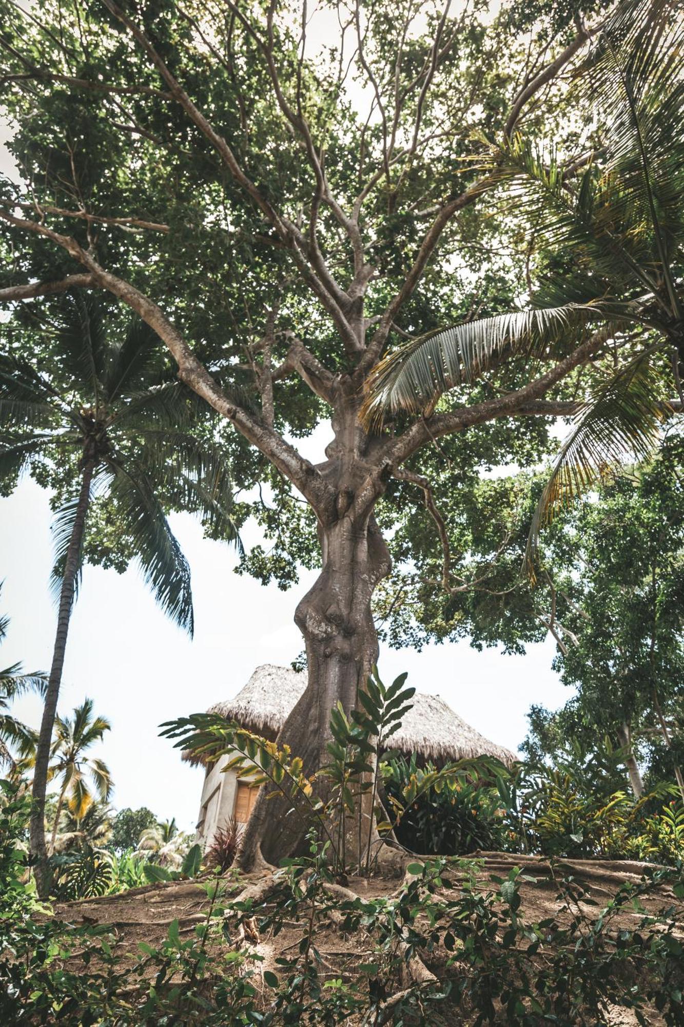 Cabana Wiwa Tayrona Los Naranjos Exterior foto